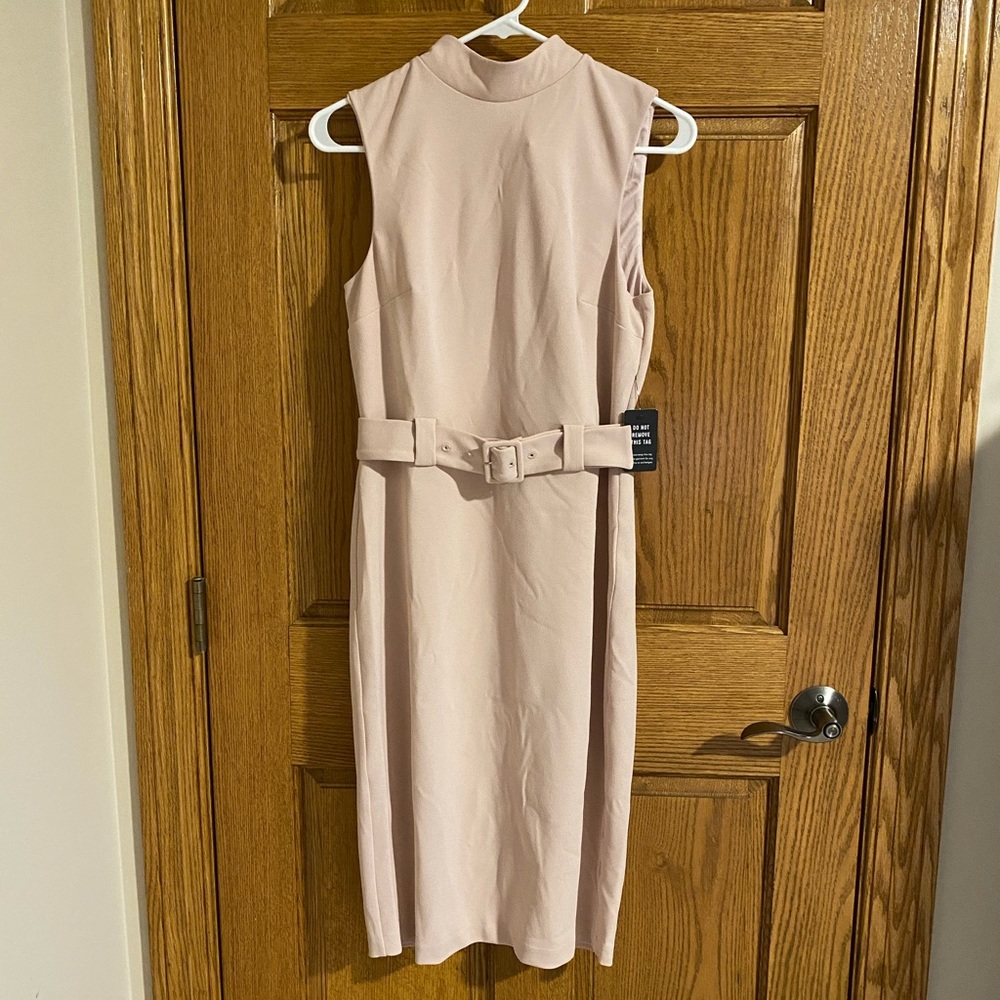 Light Pink Belted Dress